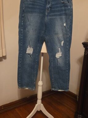 Lane Bryant Jeans
